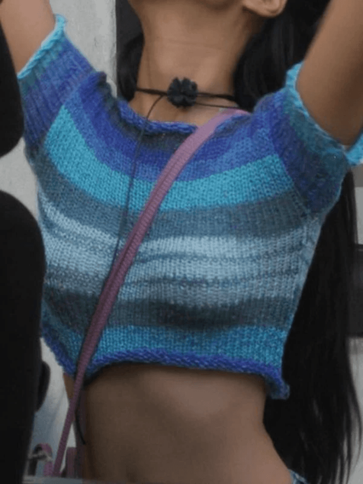 Color Block Striped Knit Crop Top - AnotherChill
