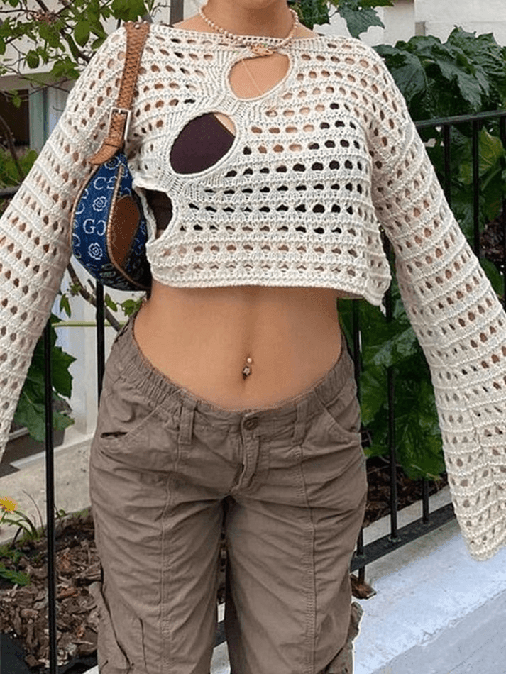 Hollow Out Long Sleeve Knit Crop Top - AnotherChill