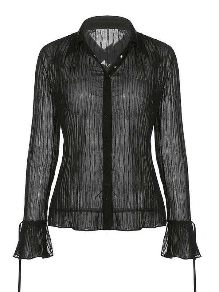 Semi Sheer Long Sleeve Pleated Blouse - AnotherChill