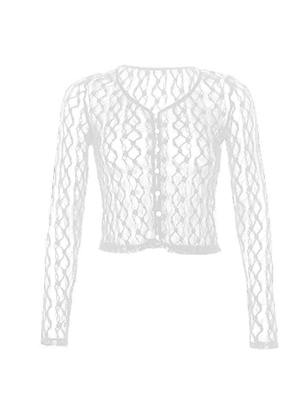 Sheer Lace Long Sleeve Crop Blouse - AnotherChill