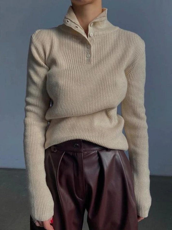Breasted High Neck Slim Sweater - AnotherChill