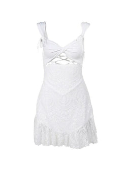 Tie Up Cutout Backless Embroidery Lace Mini Dress - AnotherChill